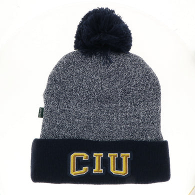 Marled Cuff Beanie, Navy (F24)