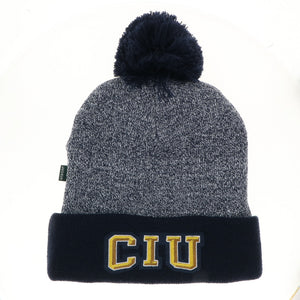 Marled Cuff Beanie, Navy (F24)