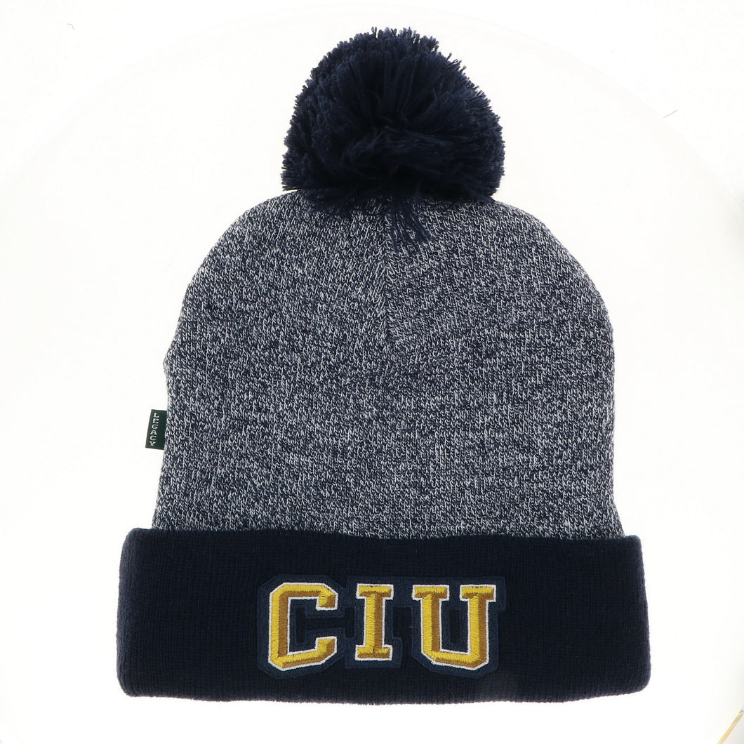 Marled Cuff Beanie, Navy (F24)