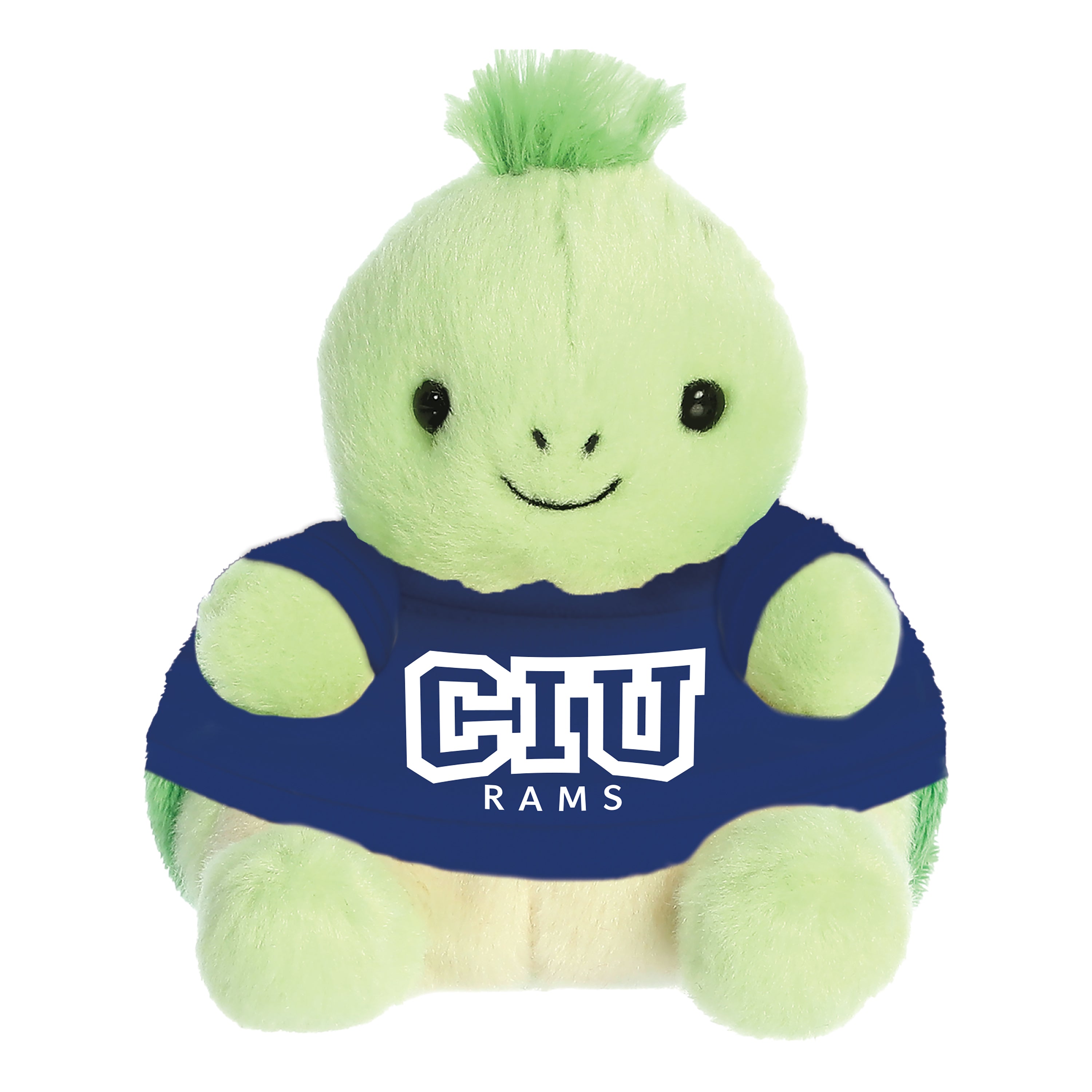 Aurora Palm Pals | Turtle