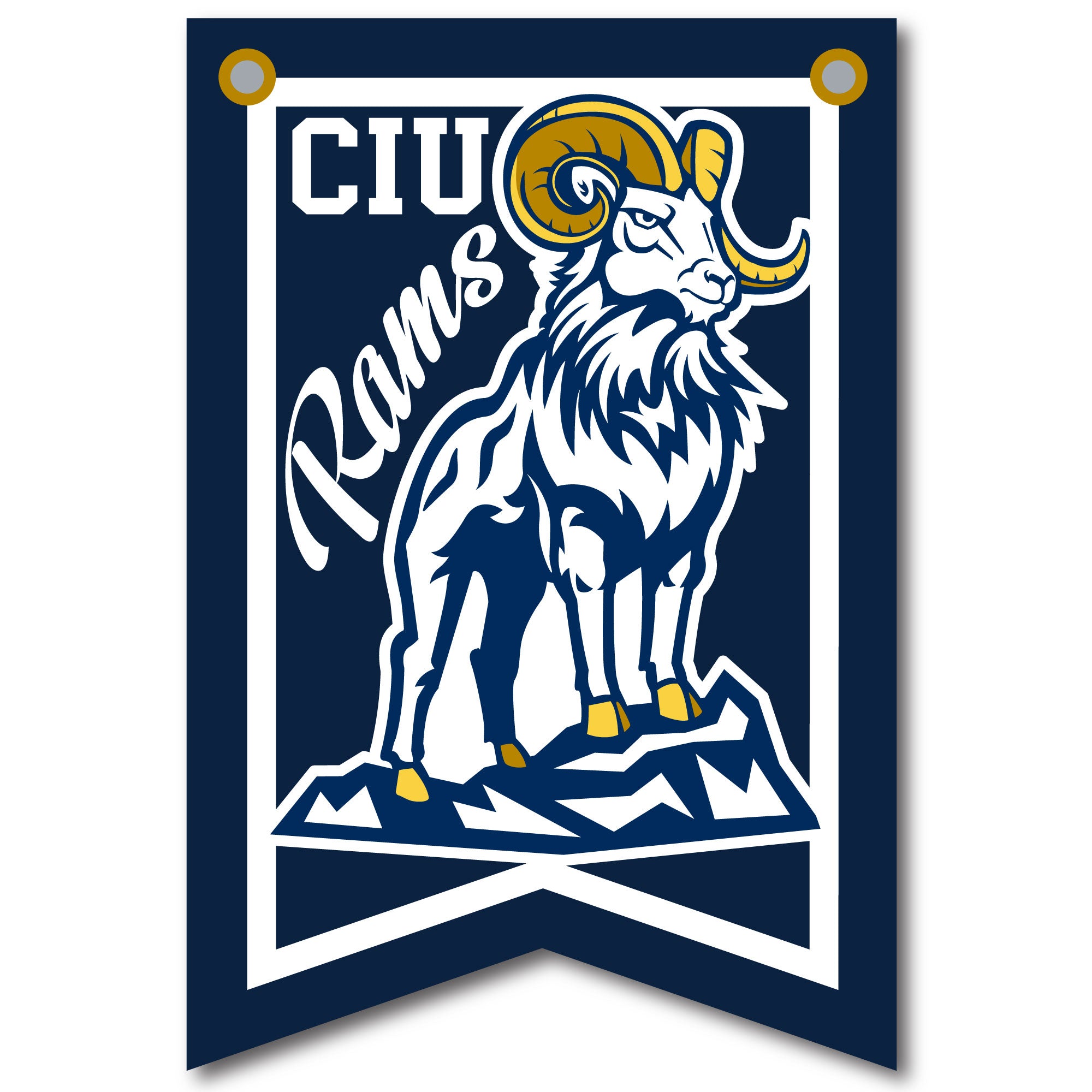 12 X 18 Dovetail Athletic Banner | Navy