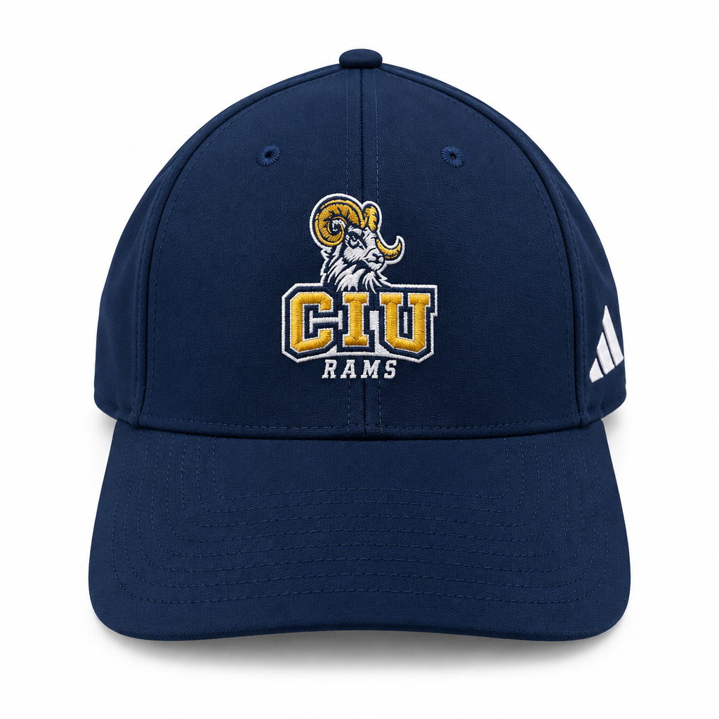 Structured Adjustable Mesh Hat | Navy