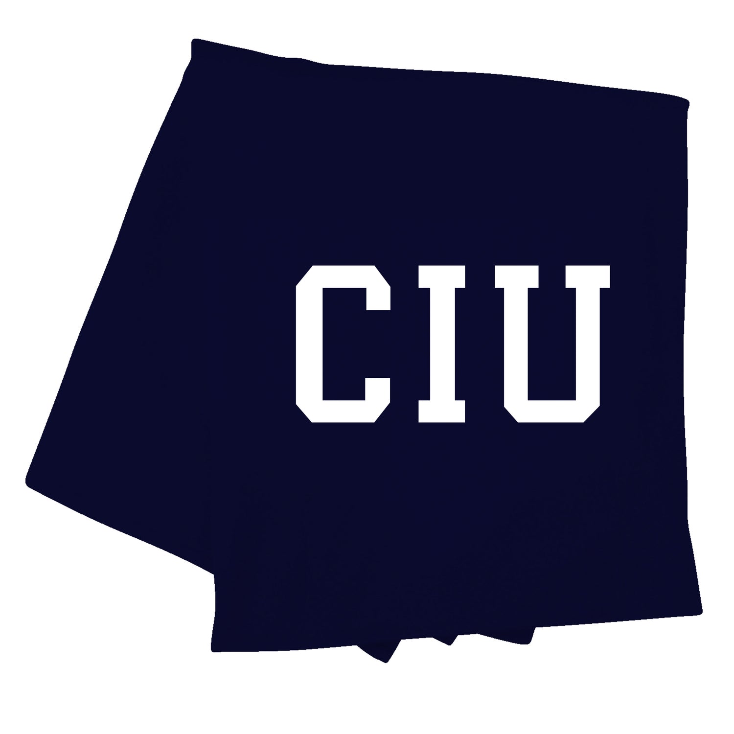 MV Sport Pro-Weave Sweatshirt Blanket | Navy