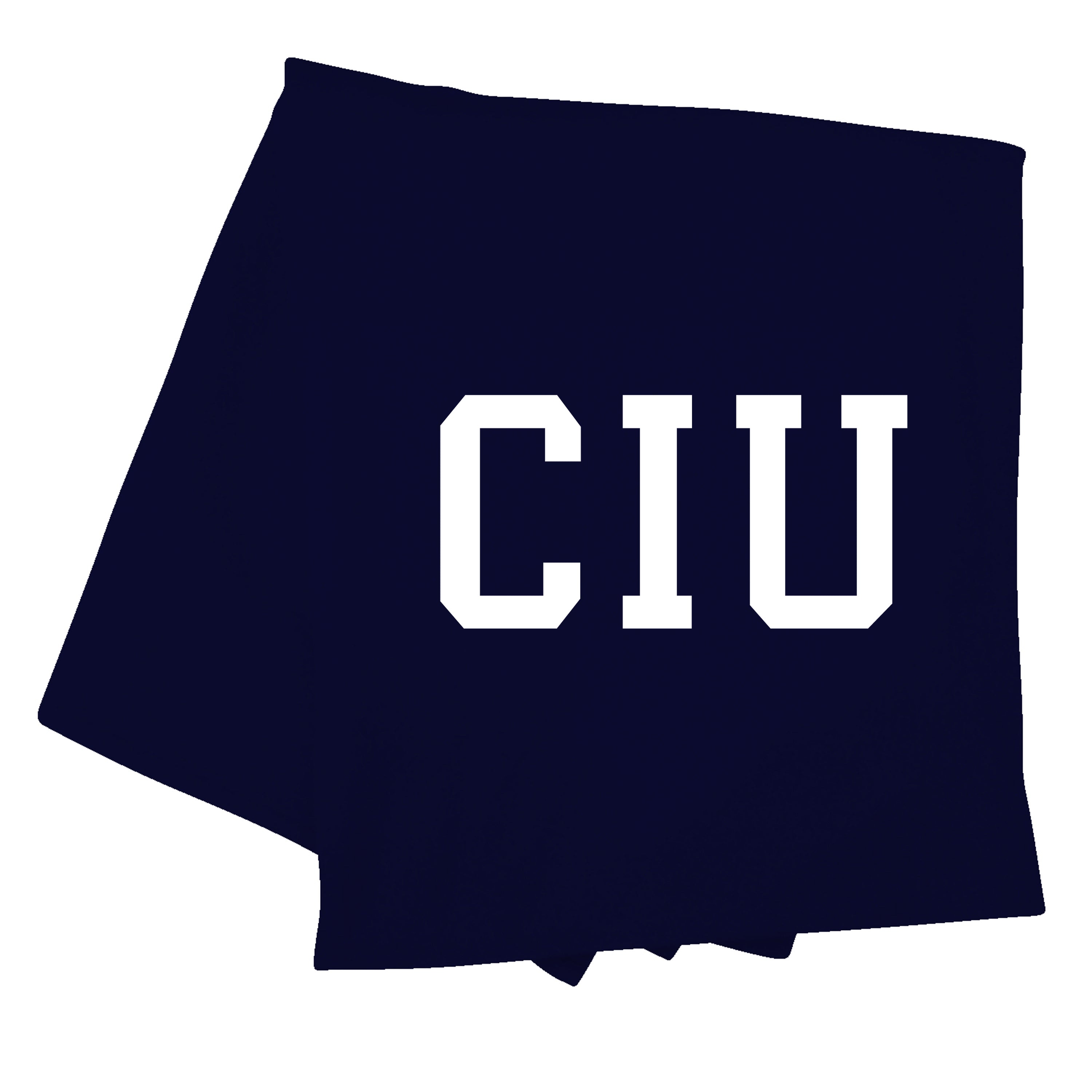 MV Sport Pro-Weave Sweatshirt Blanket | Navy