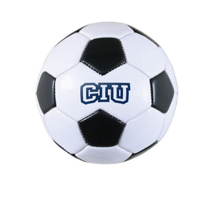 Spirit Products Mini Soccer Ball